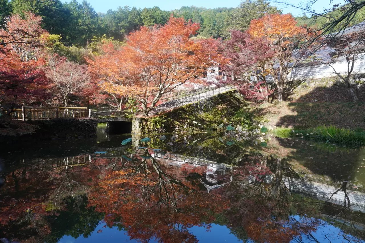 🏯 보타락산 엔츠지(補陀洛山 円通寺) 이미지 5